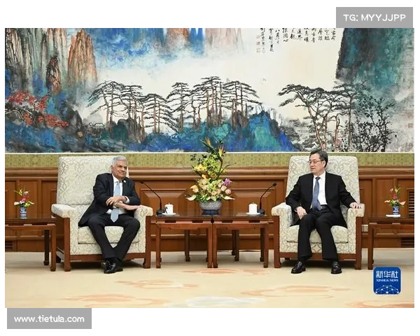 丁薛祥分别会见出席博鳌亚洲论坛2025年年会的部分国家政要 丁薛祥分别会见出席博鳌亚洲论坛2025年年会的部分国家政要